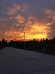 131309