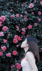 62AEDECF-3A84-4B32-B0AA-0CE5226C5DC5/L0/001
