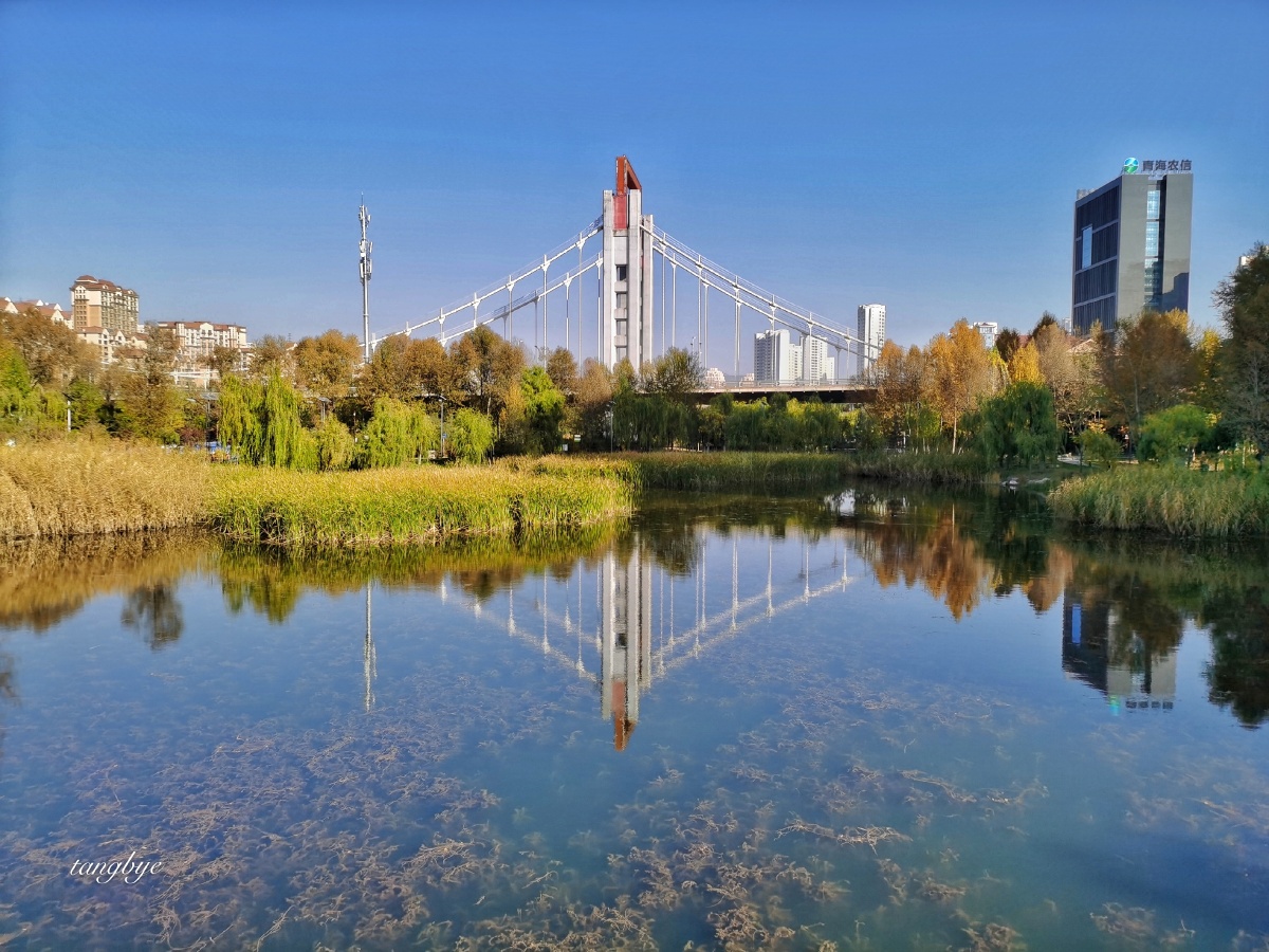 西宁湟水河湿地公园的深秋公园里的树叶纷纷染黄此起彼落分外美艳高原