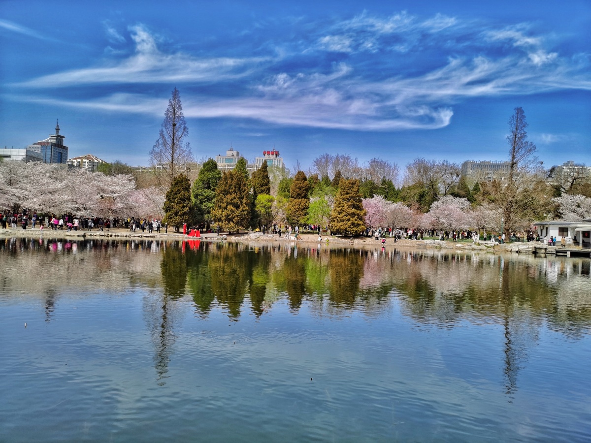 北京玉渊潭公园风景秀丽泛舟湖心四周一片蔚蓝宁静这是水天一色使人如