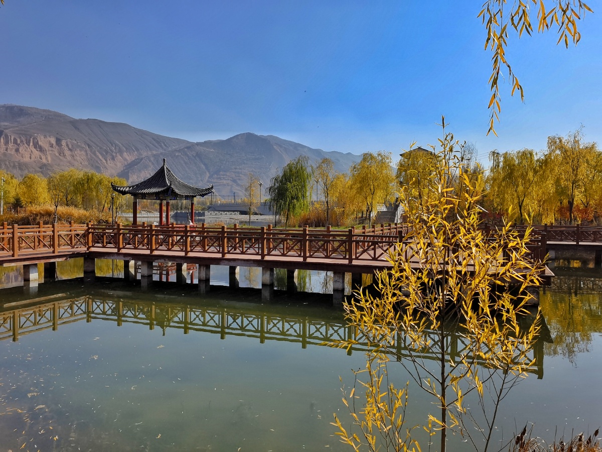 西宁北川河湿地公园秋色美美丽的秋天把北川河湿地公园打扮得五颜六色