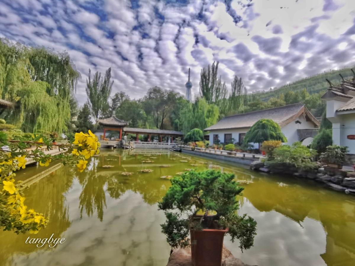 秋日的西宁植物园