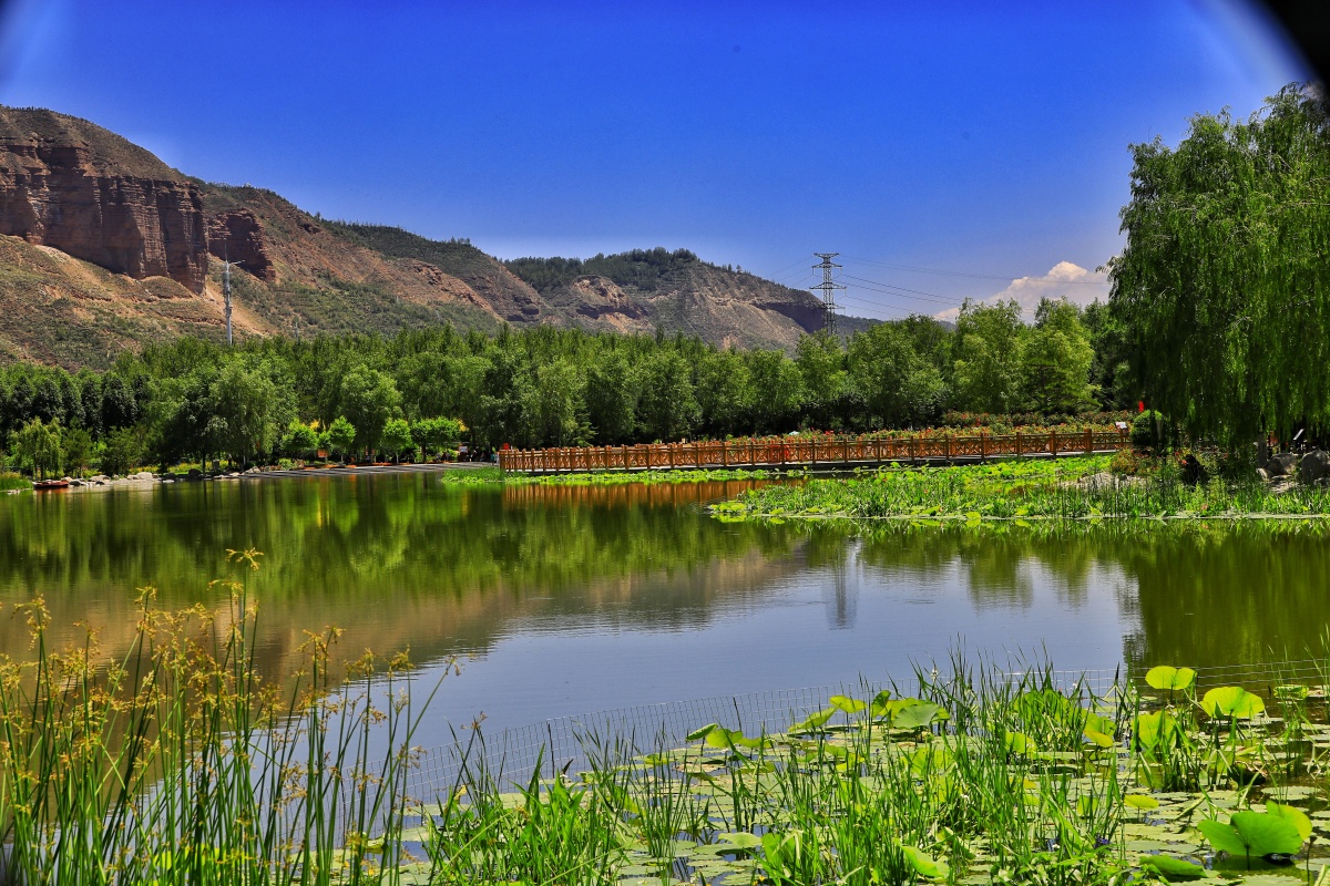 八月的西宁北山公园