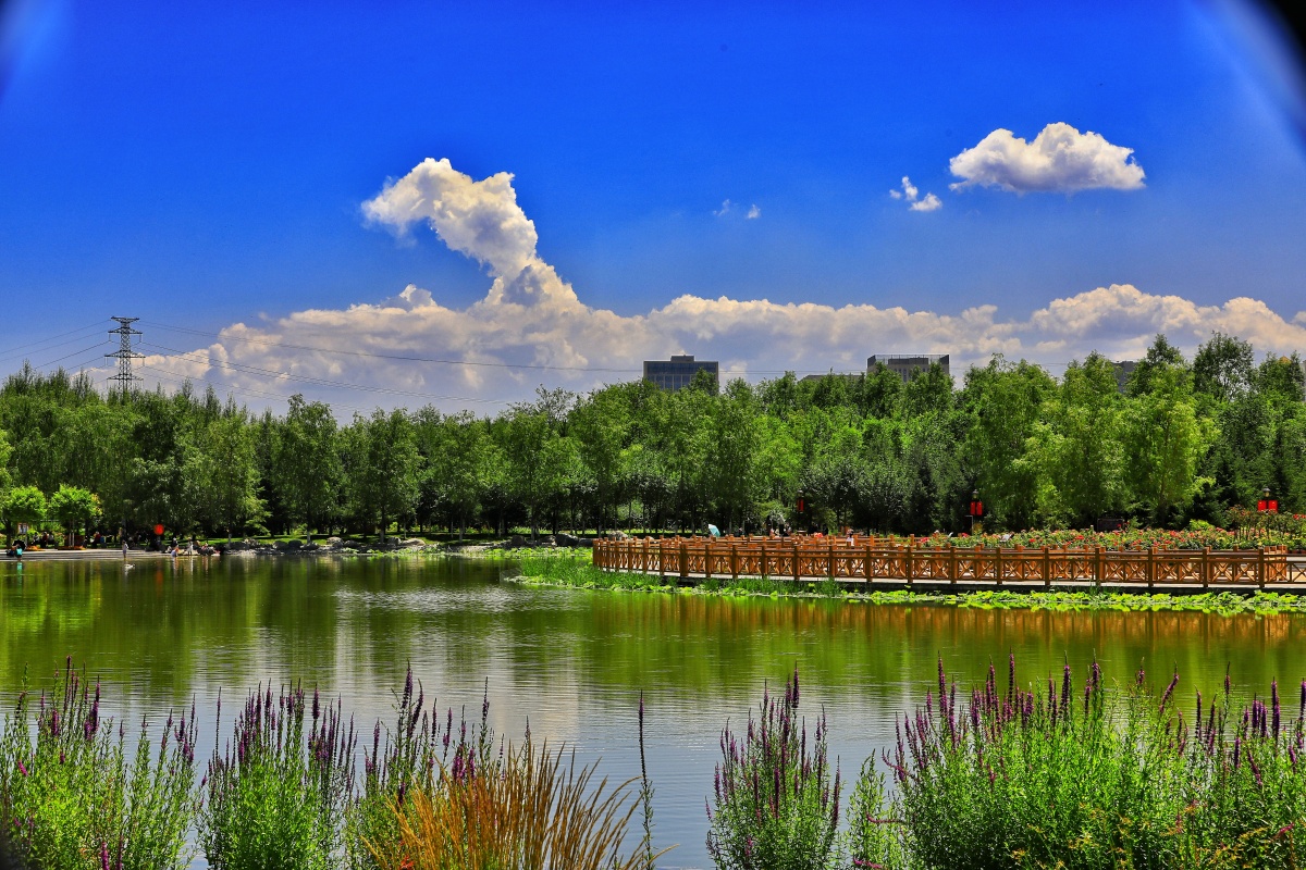 八月的西宁北山公园