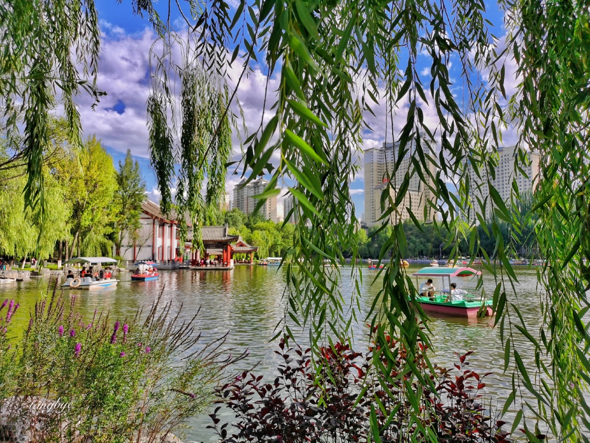 西宁人民公园夏天的美景
