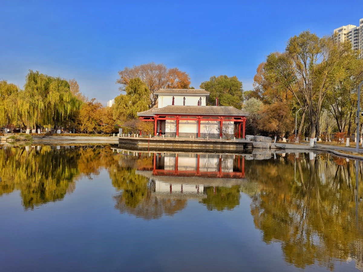 秋日的西宁人民公园风景如画,阳光色调恬淡,湖面平静得像一面明镜