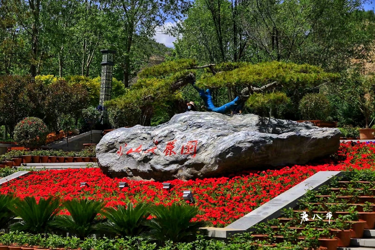 西宁北山美丽园一景