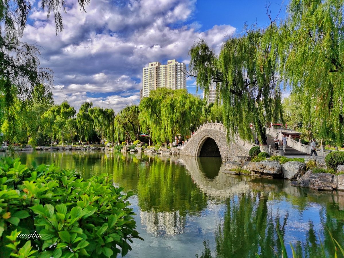 西宁人民公园夏天的美景