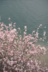 B8AC2627-1BDD-4D83-A9CE-01104E29FABA/L0/001