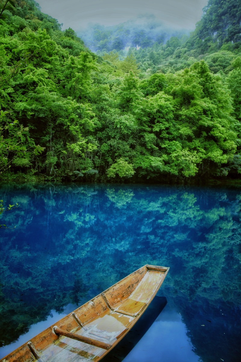 水真是很清澈啊