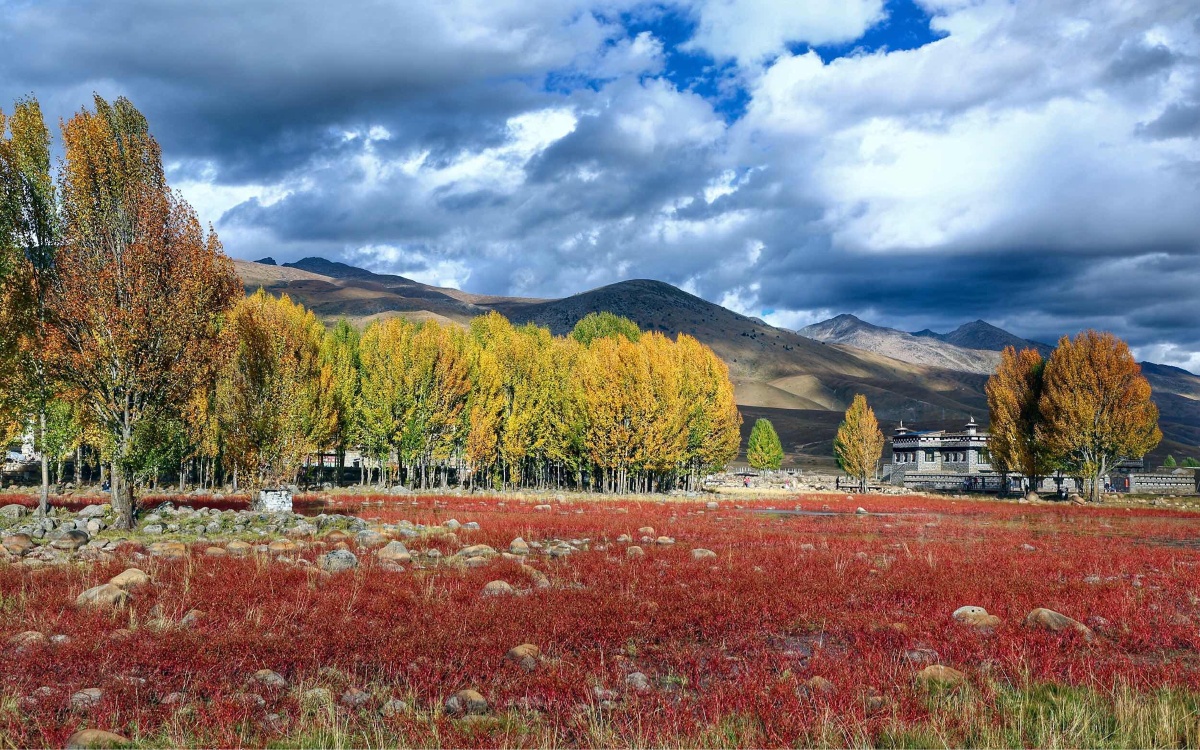 稻城著名的红草滩正值最佳的观赏期