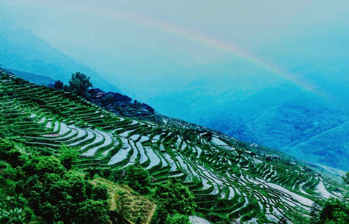 梯田上的彩虹