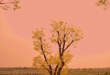 001