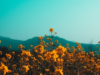 1058020