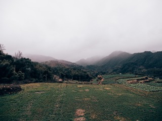 17130