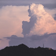 396091