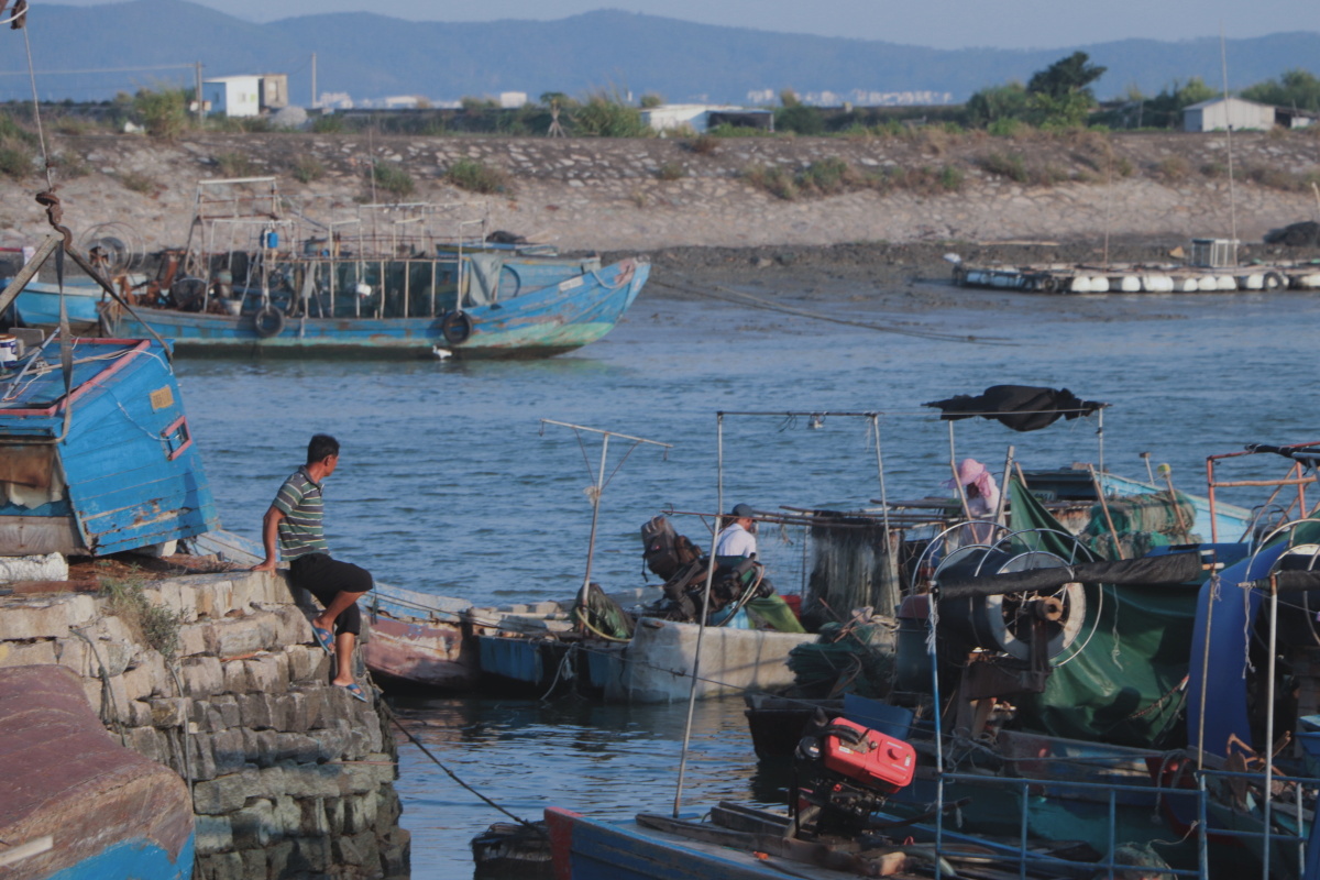 准备出海港口,沼泽,田地上空,海鸥飞翔渔民船上收网