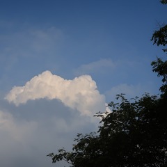 1420423