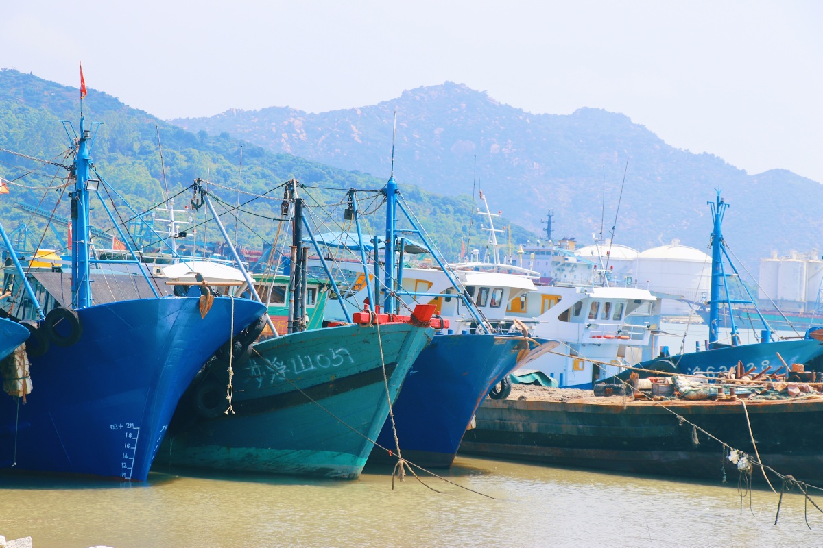 漳州的海门岛不止有海鲜和杨梅还有那平坦的草场和成