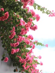 3972E01F-4A1D-4A65-AE27-F3B3439E75EF/L0/001
