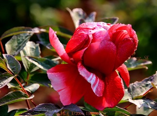 001