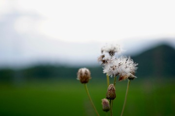 1DB7E5BF-E052-4F62-AD4D-E2D25A3915B5/L0/001