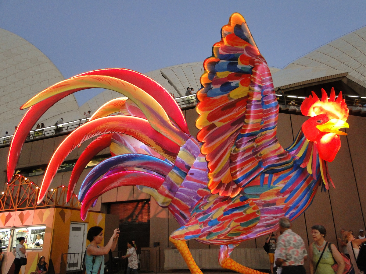 公鸡灯笼,悉尼海港 circular quay,悉尼澳大利亚.