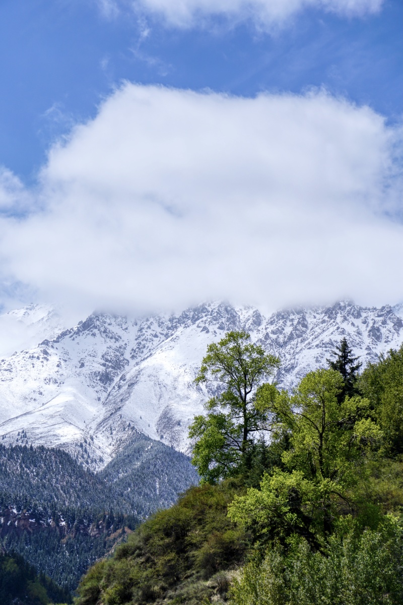 雪山下的信仰马蹄寺