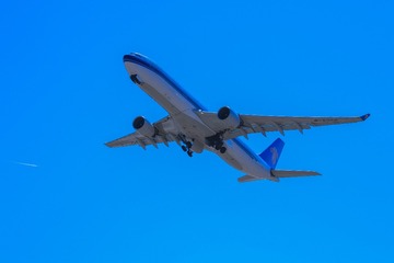 263A8982
