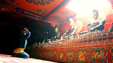 20054