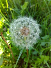 1222