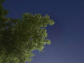 05F92077-5A48-4354-9530-A16760010DD7/L0/001