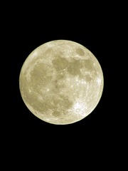 EC1C2428-F8D1-4E1D-95EC-B0D9C5CF65F7/L0/001