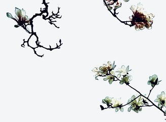 DEC17CA5-A7B2-4883-AD0E-5D6B7E8A766C/L0/001