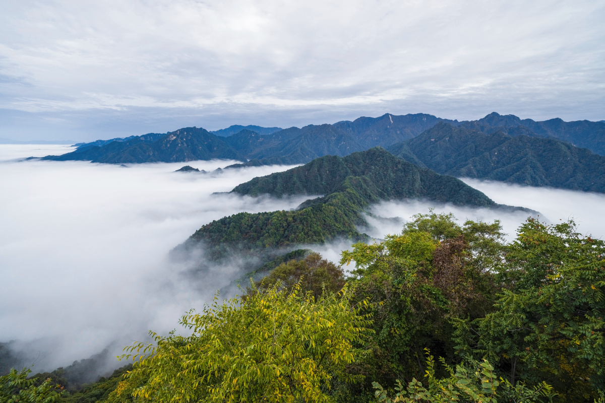 秦岭山脉云海 - 硕果zpf - 图虫
