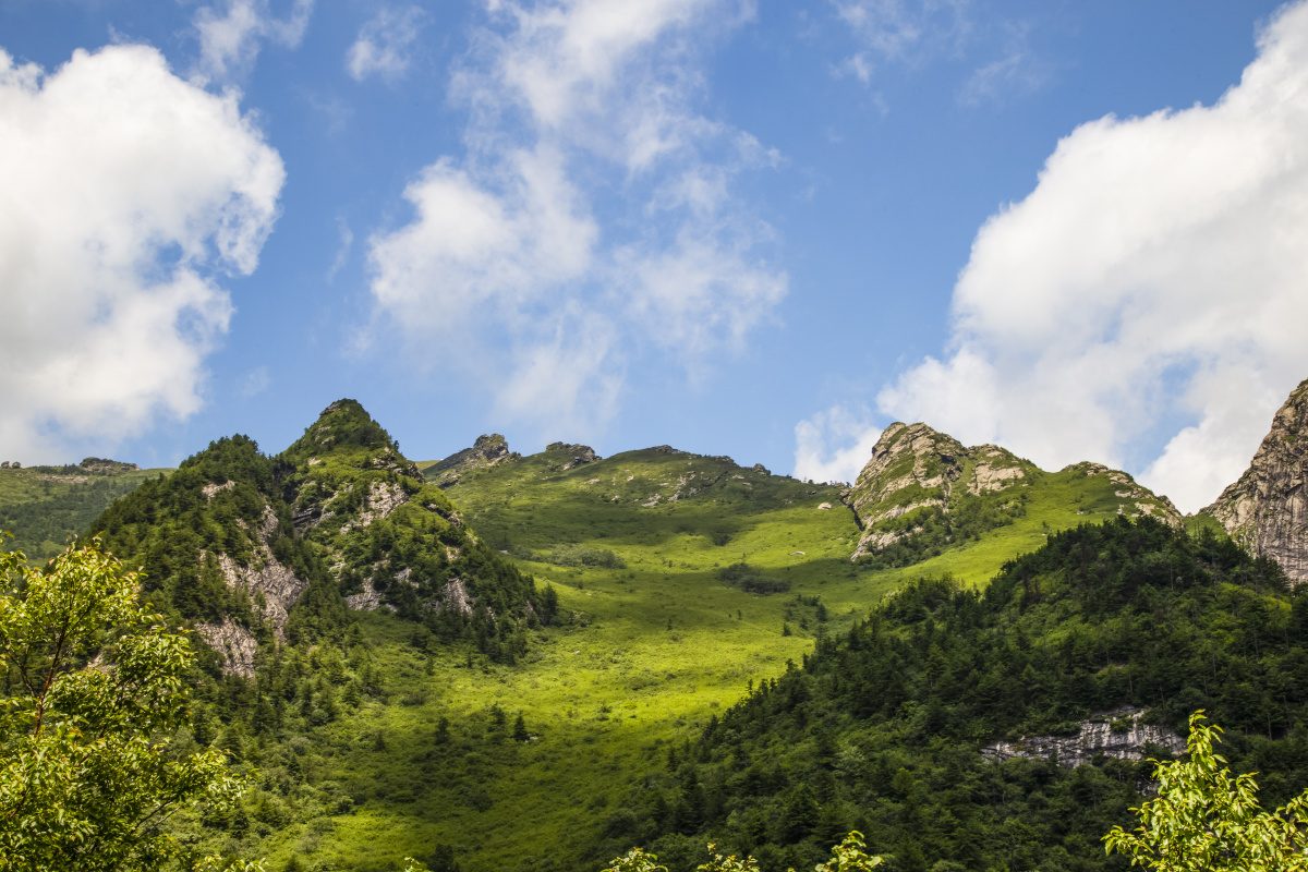 大美秦岭·光头山
