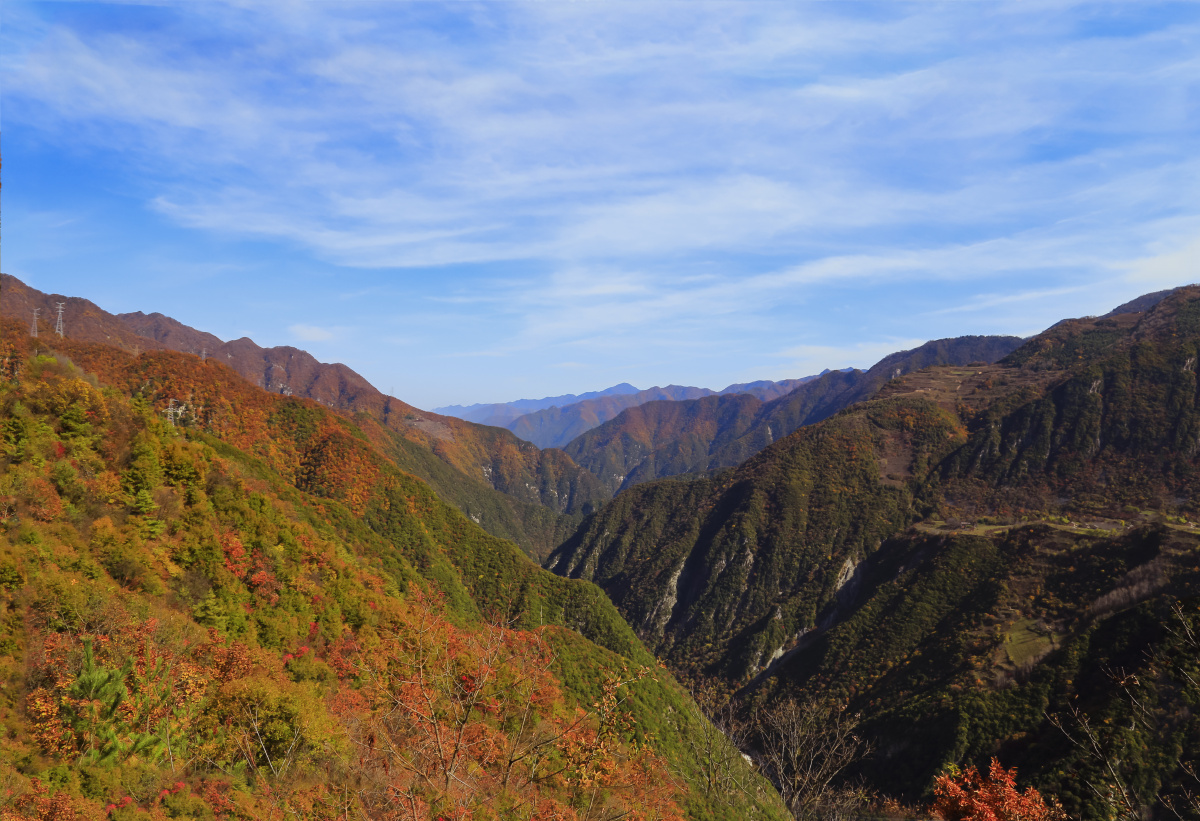秦岭黑河峪的秋