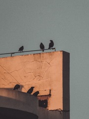 774895