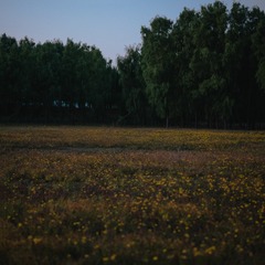 8AC9C464-440F-42B7-95D1-F11390DF9E36/L0/001