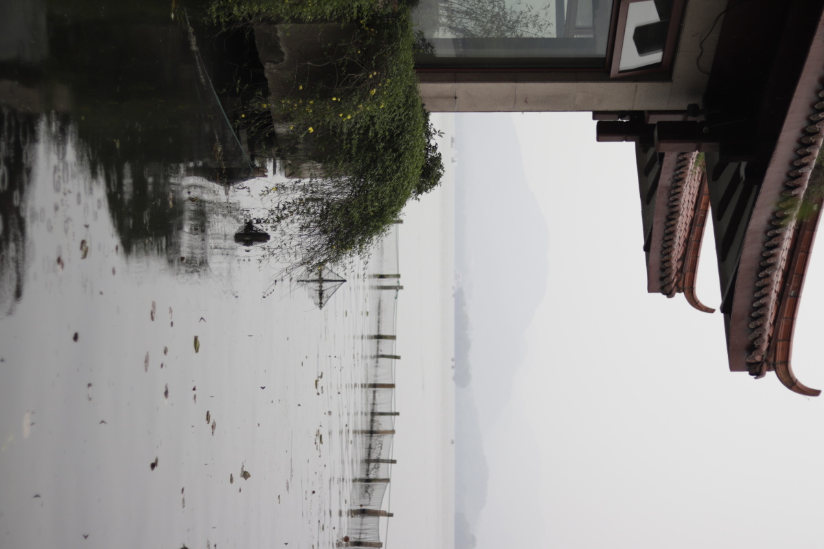西湖雨
