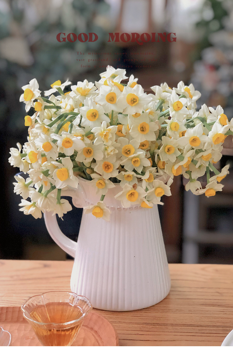 今日份早餐三丝酸辣拌荞麦面