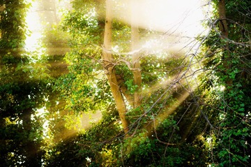 And God said, let there be light, and there was light