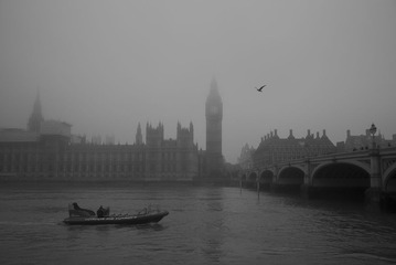 Moist Morning-5