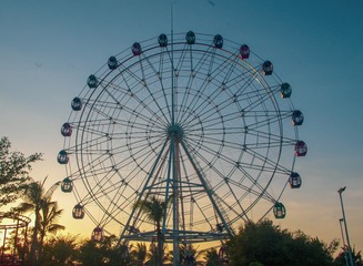 2619668