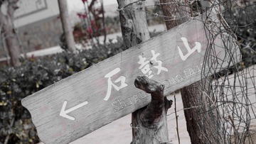 C2CEE8CE-9072-4F31-80F1-E9E160D84244/L0/001