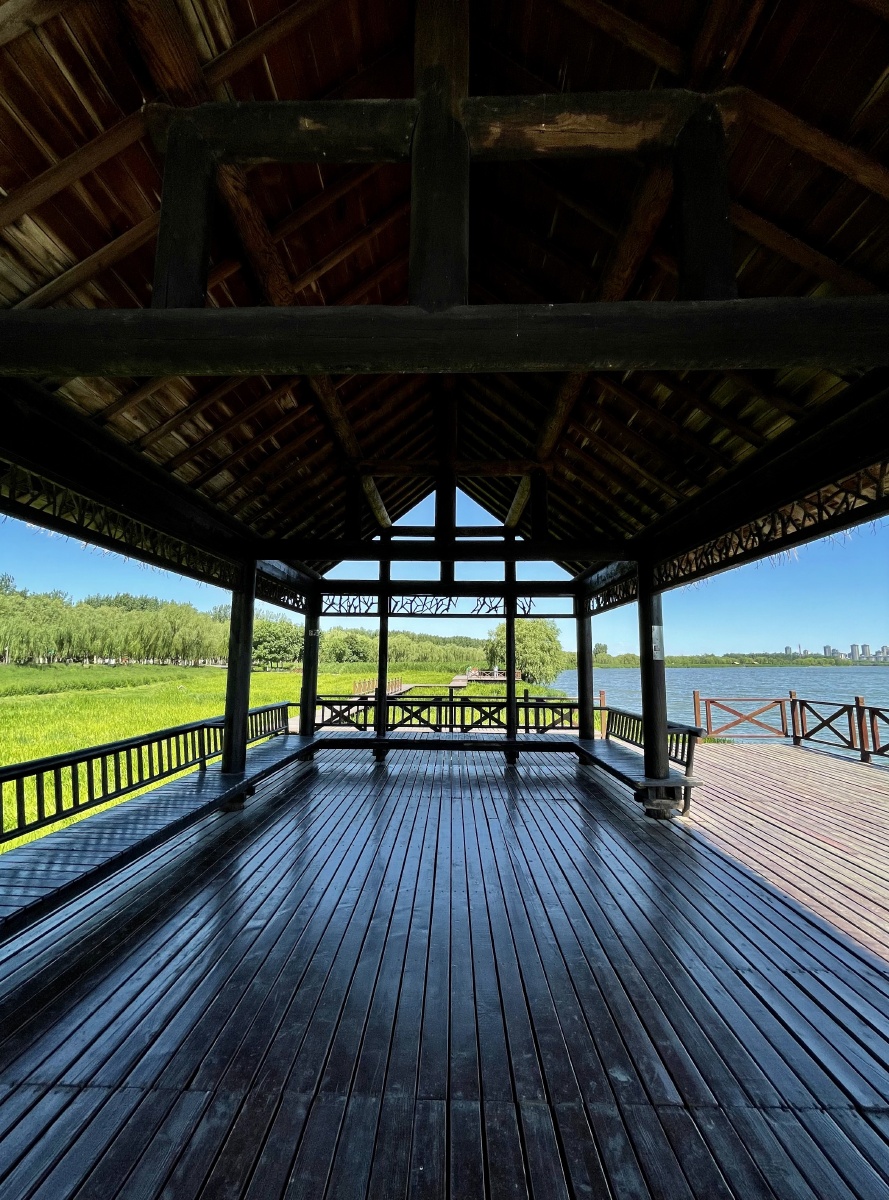 透过茅草屋的美景