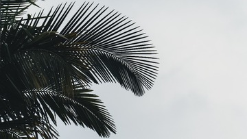 20211120-DSC06121-1