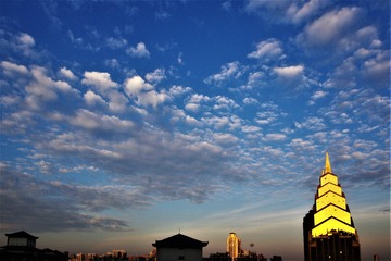 B98CD5CC-463C-4BFC-802C-3BCC3E0BAB00/L0/001