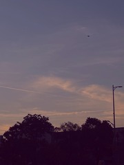 C9BFD69B-C833-4443-BE22-F4F5E61F4A58/L0/001