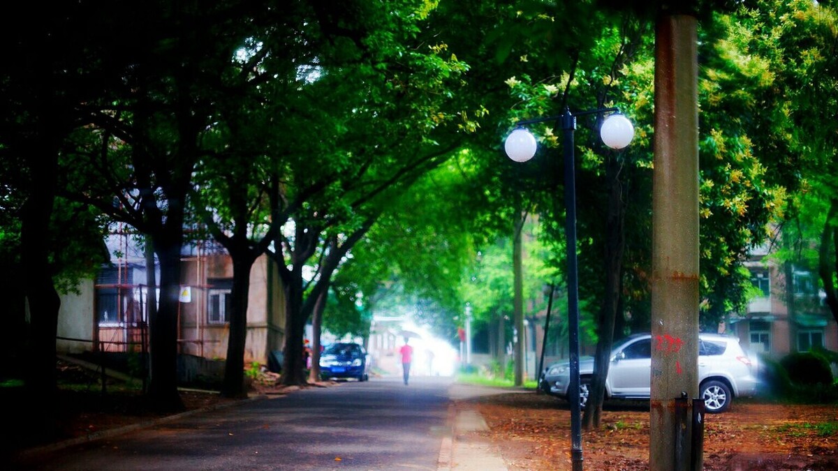 那条路上的一抹红